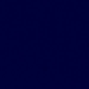 Meet your Posher, Leena